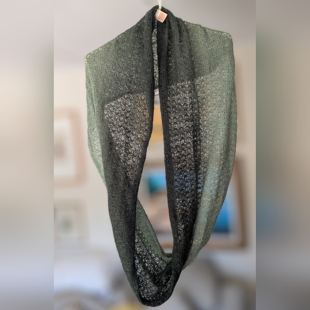 Pistil Ombre Infinity Scarf